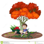 A Boy Reading Under The Tree Stock Vector Image 42175553