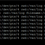 Creating Audit Trails Logging Commands On Linux With Snoopy