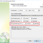 SQL Server Transaction Log Backup Best Practices