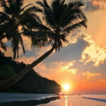 Beach Vibes Nature Photography Sunset Wallpaper Scenery