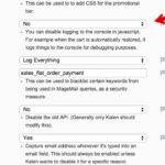 How Can You Disable The Logging In The Javascript Console MageMail