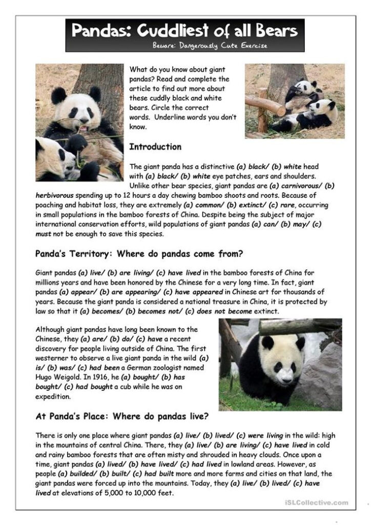 Reading 1 What Do You Know About Giant Pandas Worksheet Free ESL 