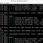 Don t Surf In The Nude Read Boot Messages Log In Debian