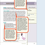 The Reading Strategies Book By Jennifer Serravallo Your Everything