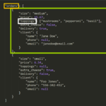 How To Parse A JSON File From An API With Python I Want To Learn Ruby