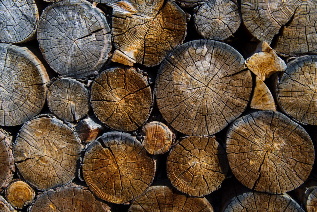 How To View Log Files In Terminal By Devron Baldwin Medium