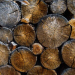 How To View Log Files In Terminal By Devron Baldwin Medium